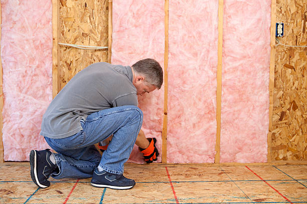 Best Geographic-Specific Insulation Services in Blue Hills, CT